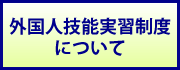 外国人技能実習制度について