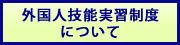 外国人技能実習制度について